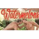 Watermelons DVD BelAmi Wolfi Entertainment BelAmishop Gaydvd mehr Auswahl Gayshop.at