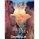 Max In The City DVD Falconstudios Besuche Gayshop.at mit 11600 Aktionen!