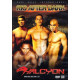 RIO AFTER DARK DVD Dark Alley Sex Gay