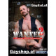 Wanted Vol.2 DVD Dark Alley Media An Owen Hawk Collection
