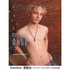 Dream Boys 265 Magazin EU Sonderpreis 12,95 € Portofrei!