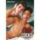 Coffee & Cocks 5 DVD Boyfun Portofrei