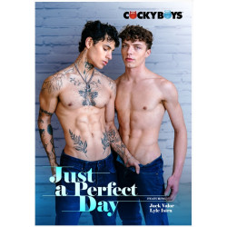 Just a Perfect Day DVD Cocky Boys Portofreier Versand