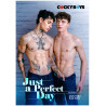Just a Perfect Day DVD Cocky Boys Portofreier Versand