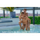 The Boys of Summer DVD BelAmishop.at und BelAmishop.de bei Gayshop.at und Gaydvd.at